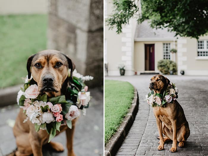 Helen and Owen // Lough Rynn Castle Ireland