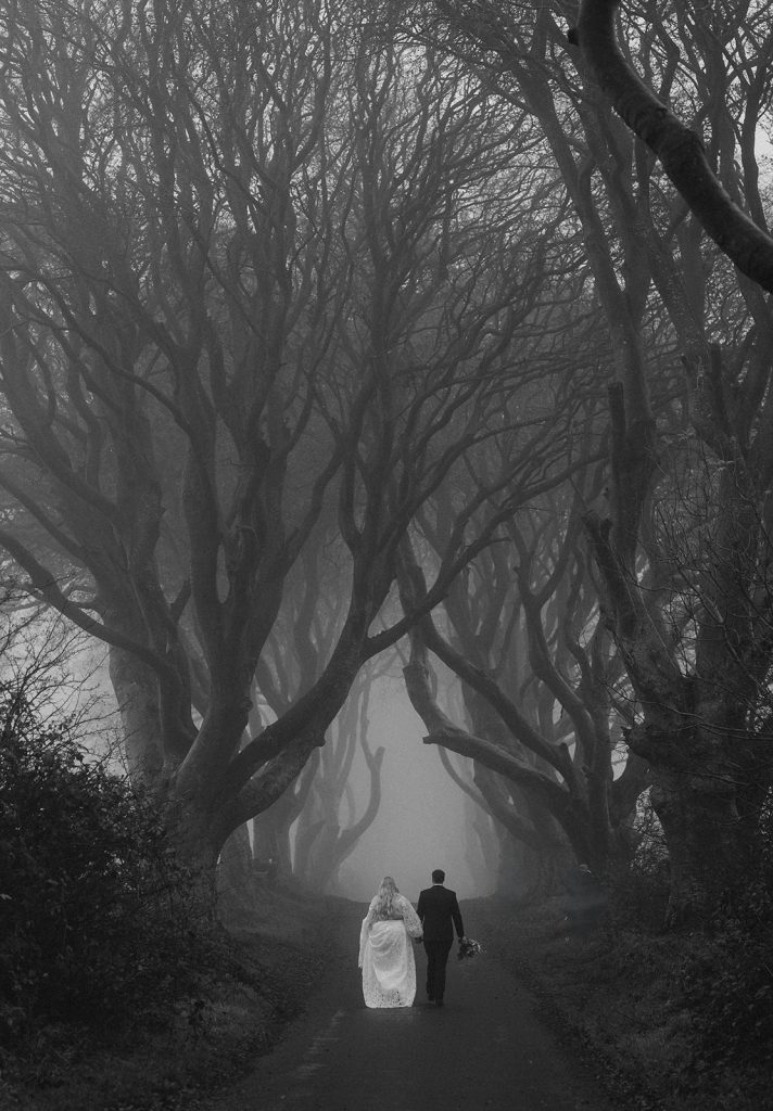 The Dark Hedges